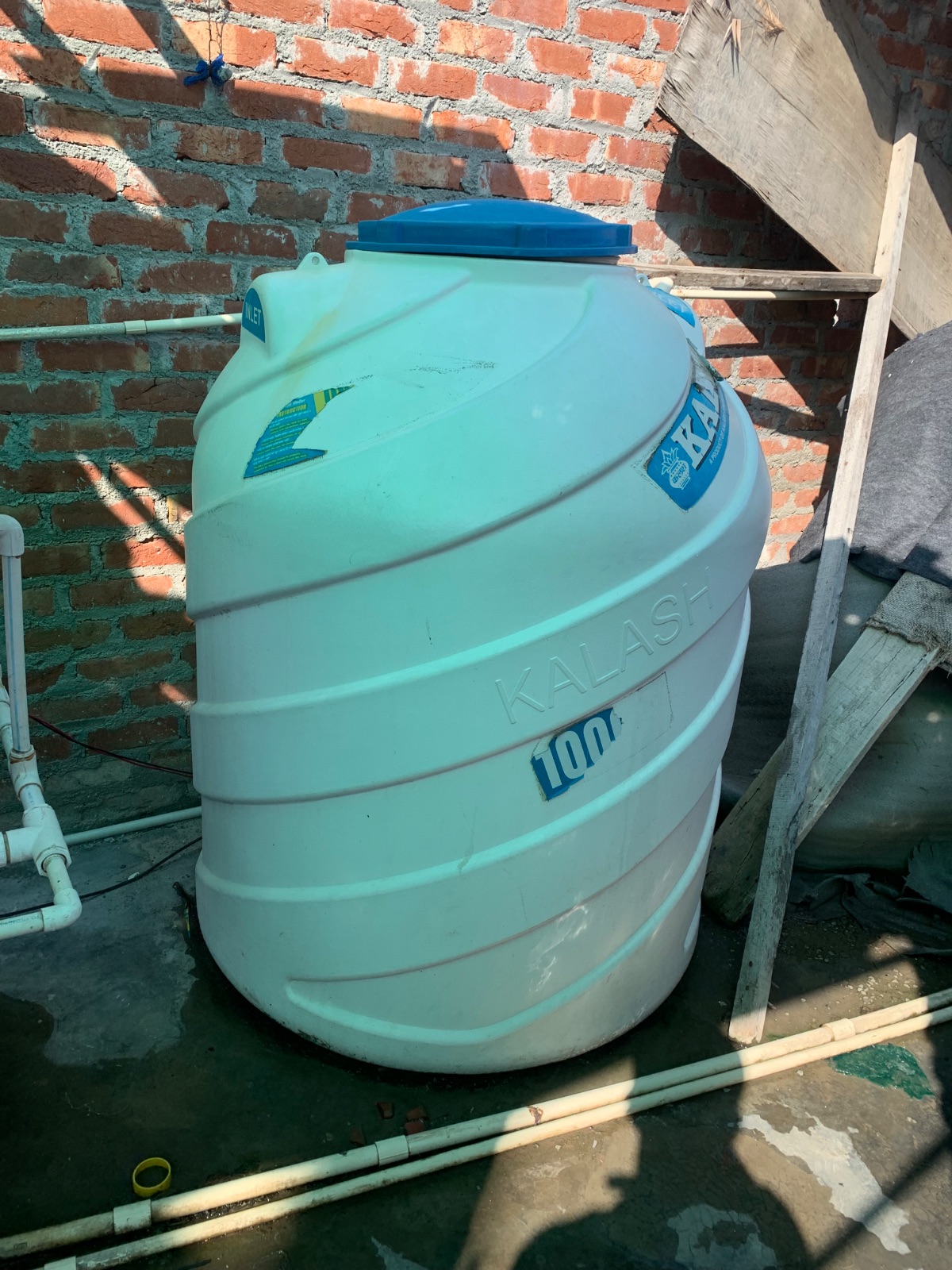 Water plant full setup
