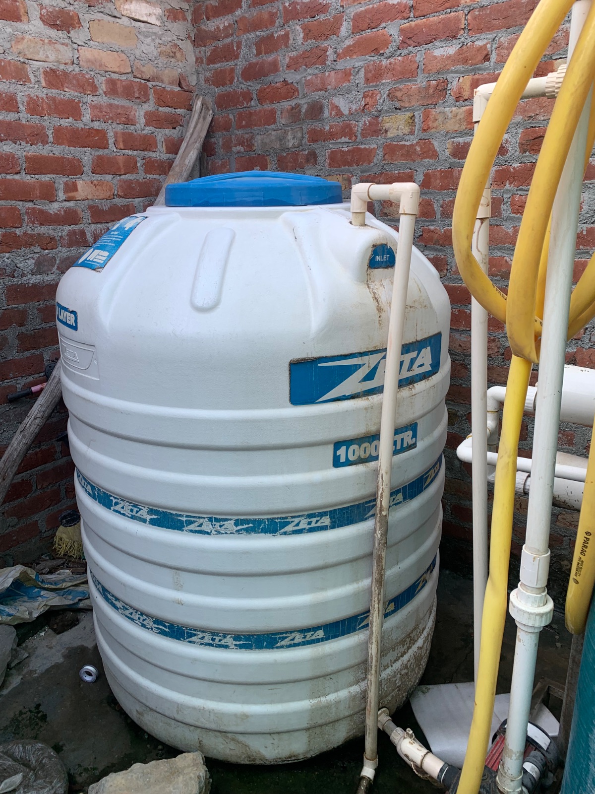 Water plant full setup 2